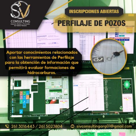 SEMINARIO DE PERFILAJE DE POZOS (32hrs)